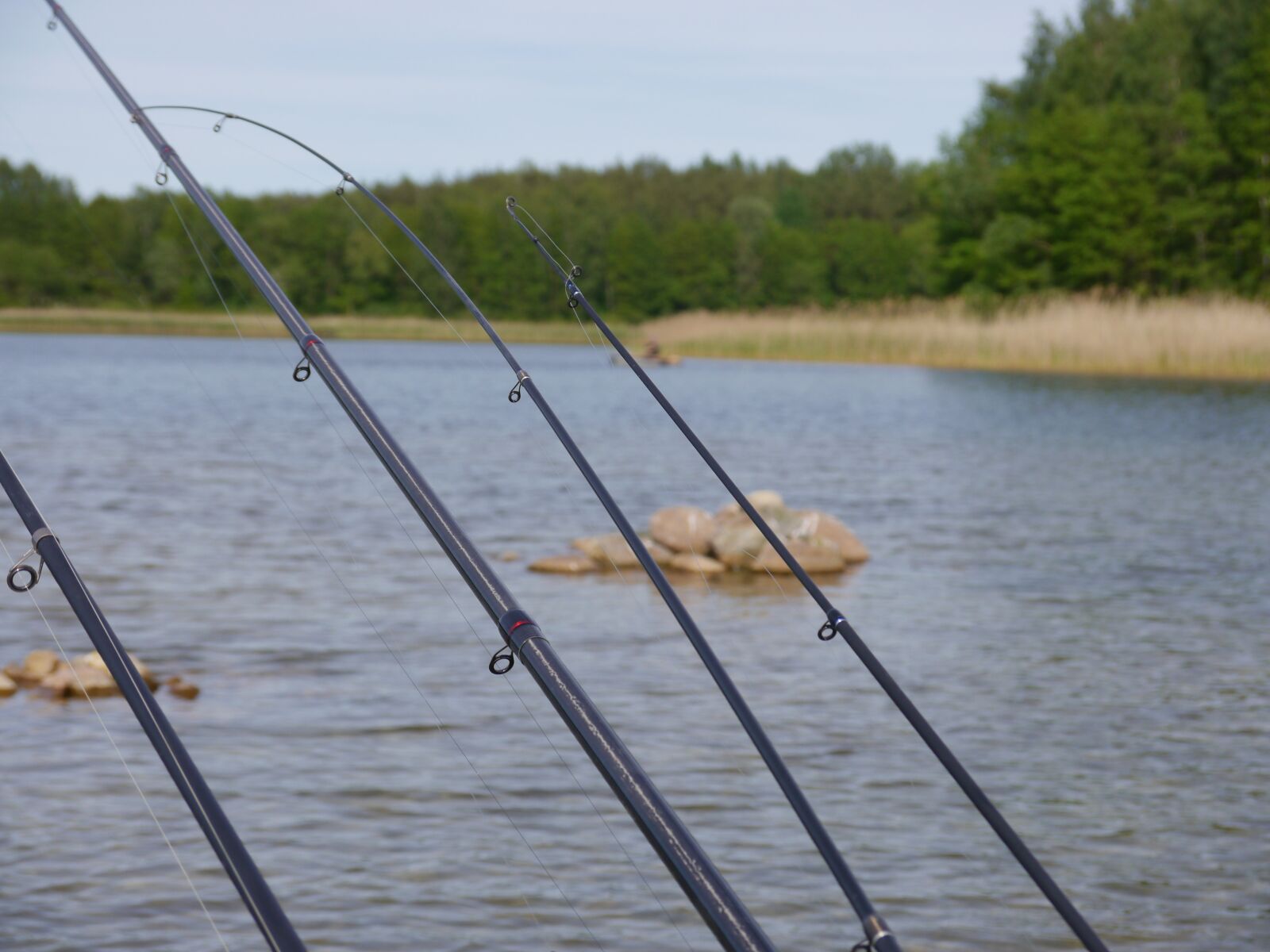 Panasonic Lumix DMC-G5 sample photo. Fish, fishing rods, boat photography