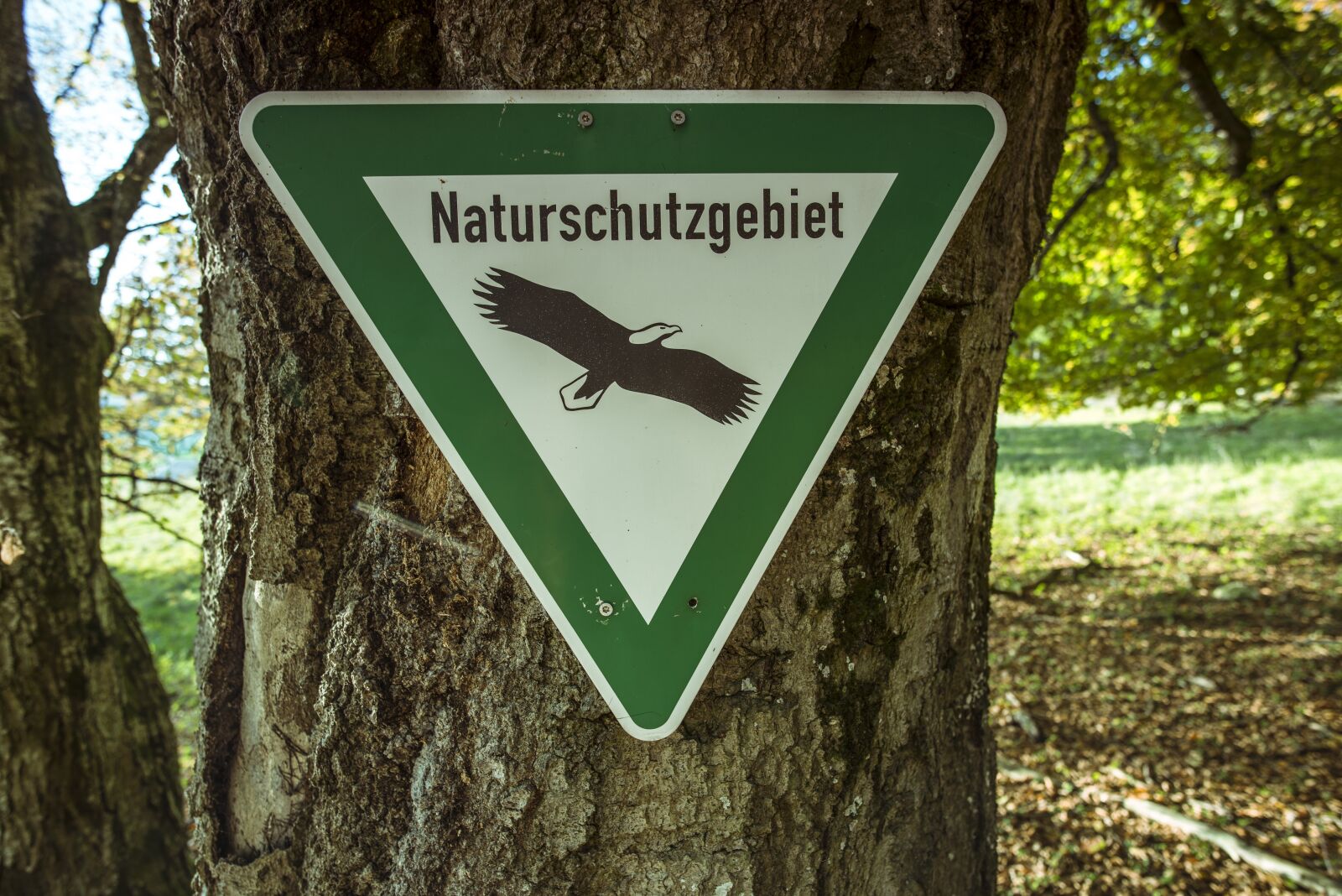 Nikon D800 sample photo. Nature reserve, shield, forest photography