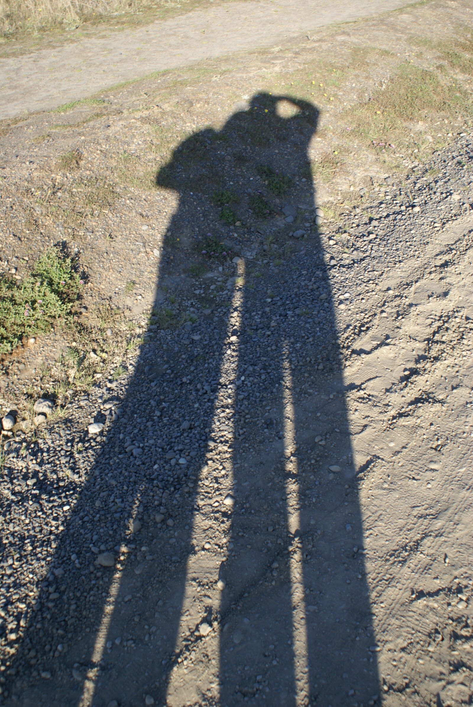 Sony Alpha DSLR-A100 sample photo. Shadow, sand, gravel photography