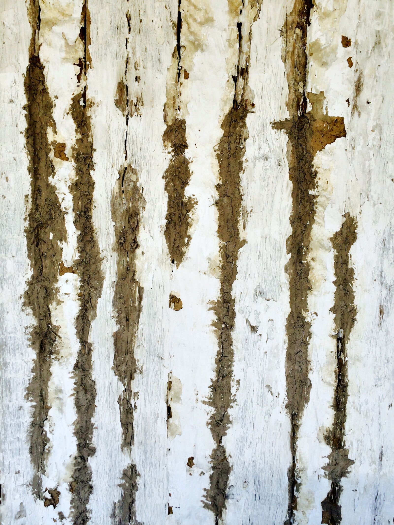 iPhone 5s back camera 4.15mm f/2.2 sample photo. Wood, chippy, painted photography