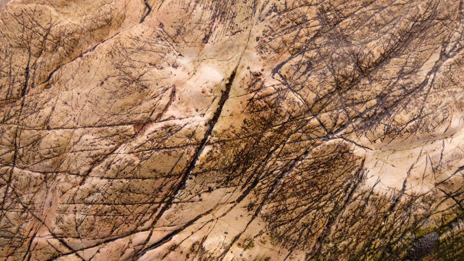Canon PowerShot G3 X sample photo. Wet stone, stone, wallpaper photography