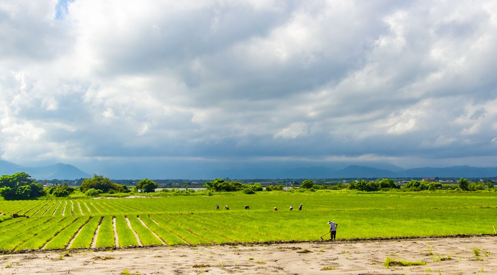 Canon EF-S 10-22mm F3.5-4.5 USM sample photo. Village, my hometown, oranges photography