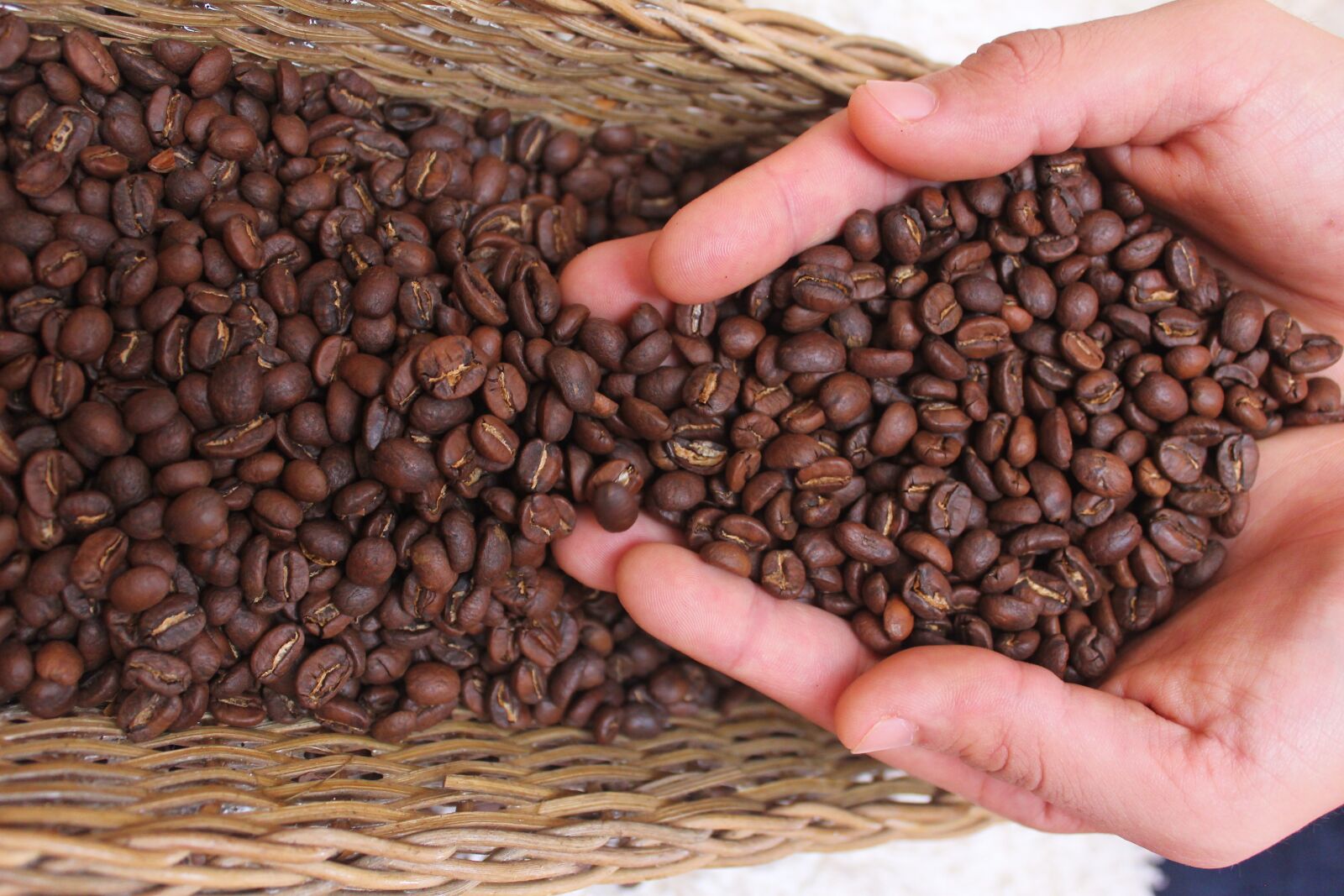Canon EOS 60D sample photo. Coffee, drink, caffeine photography