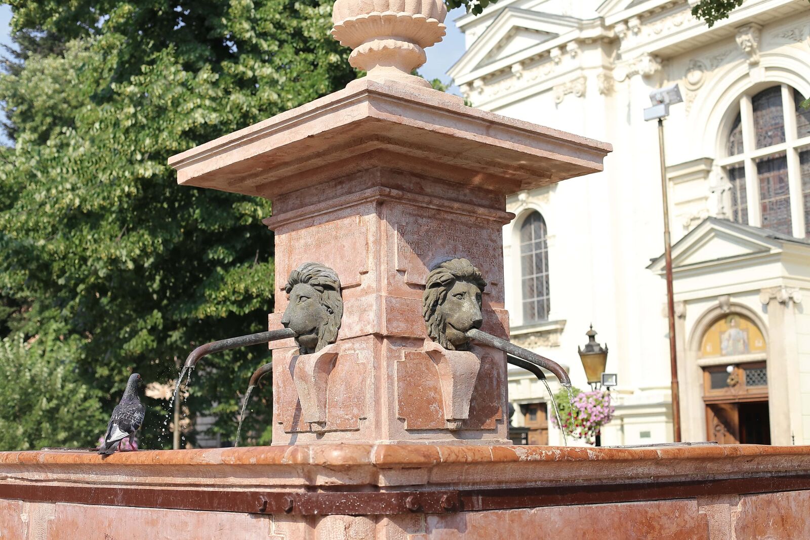 Canon EOS 6D + Canon EF 50mm F1.4 USM sample photo. Pigeon, marble, fountain, statue photography