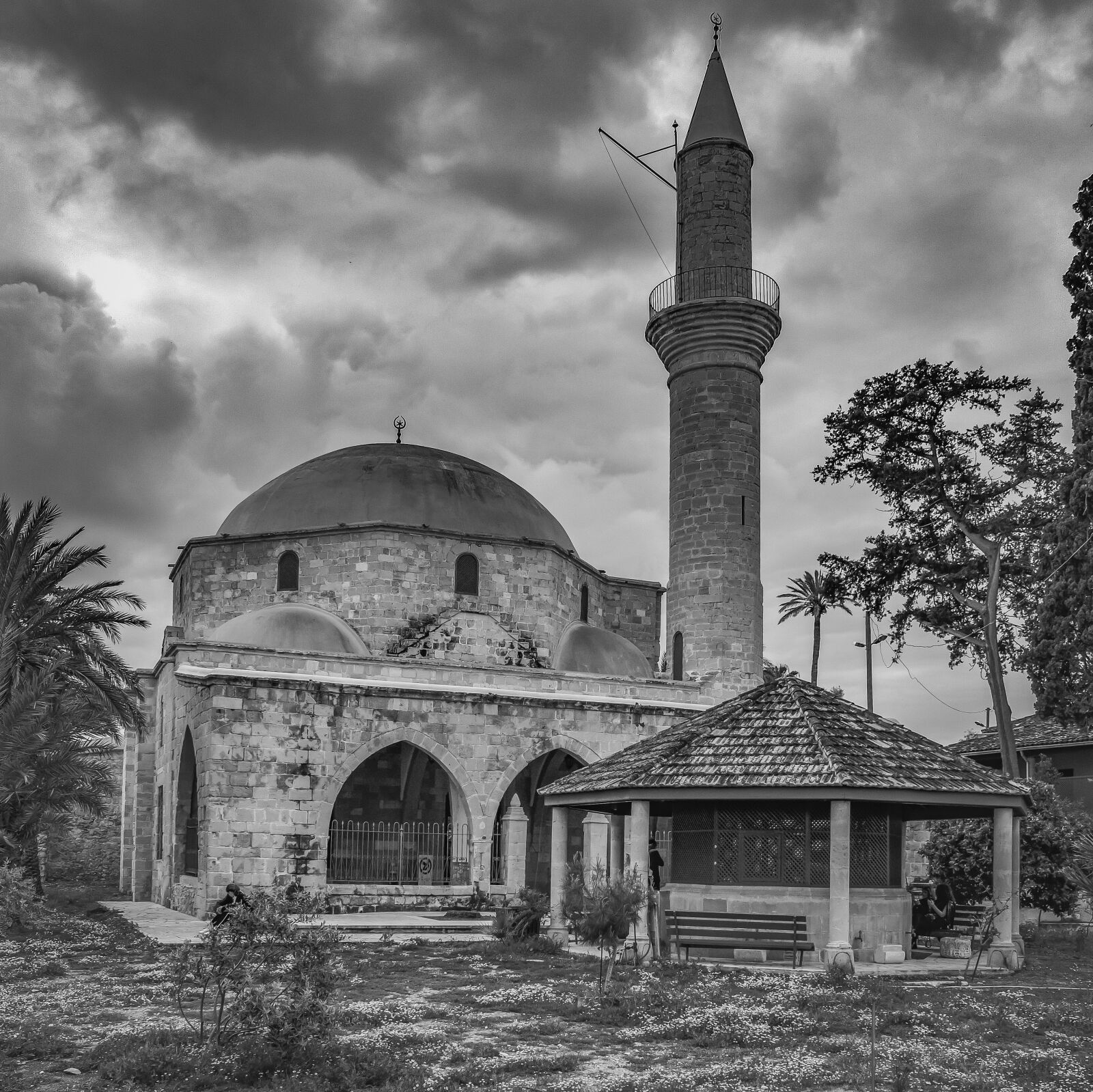 Nikon D3300 sample photo. Cyprus, larnaca, hala sultan photography
