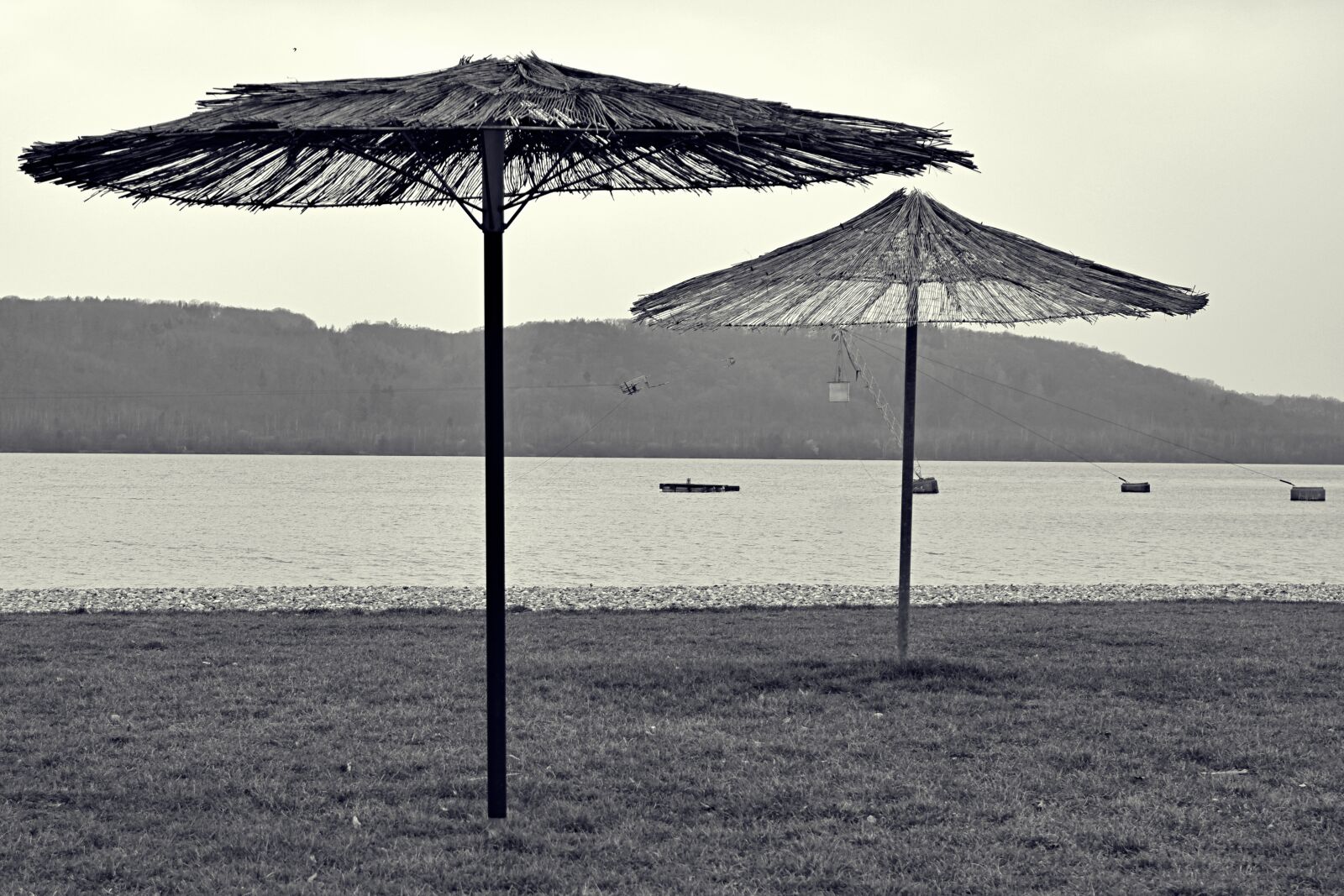 Fujifilm X-T100 sample photo