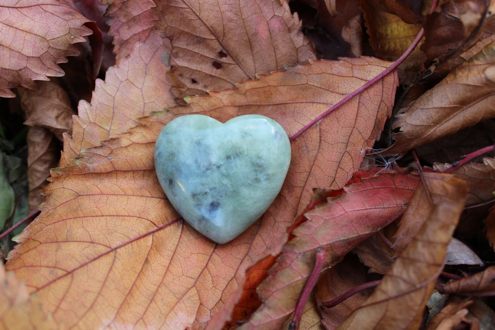 Canon EOS 600D (Rebel EOS T3i / EOS Kiss X5) sample photo. Love, autumn, heart photography