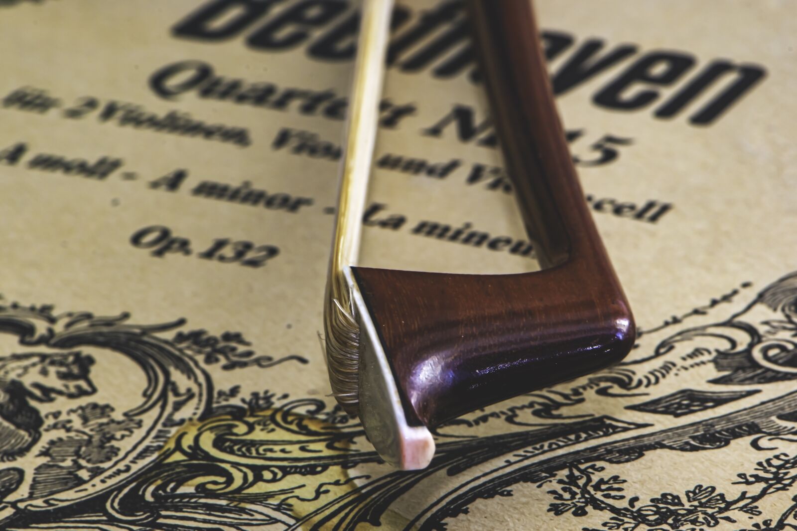 Nikon D5600 sample photo. Cello bow, beethoven, french photography