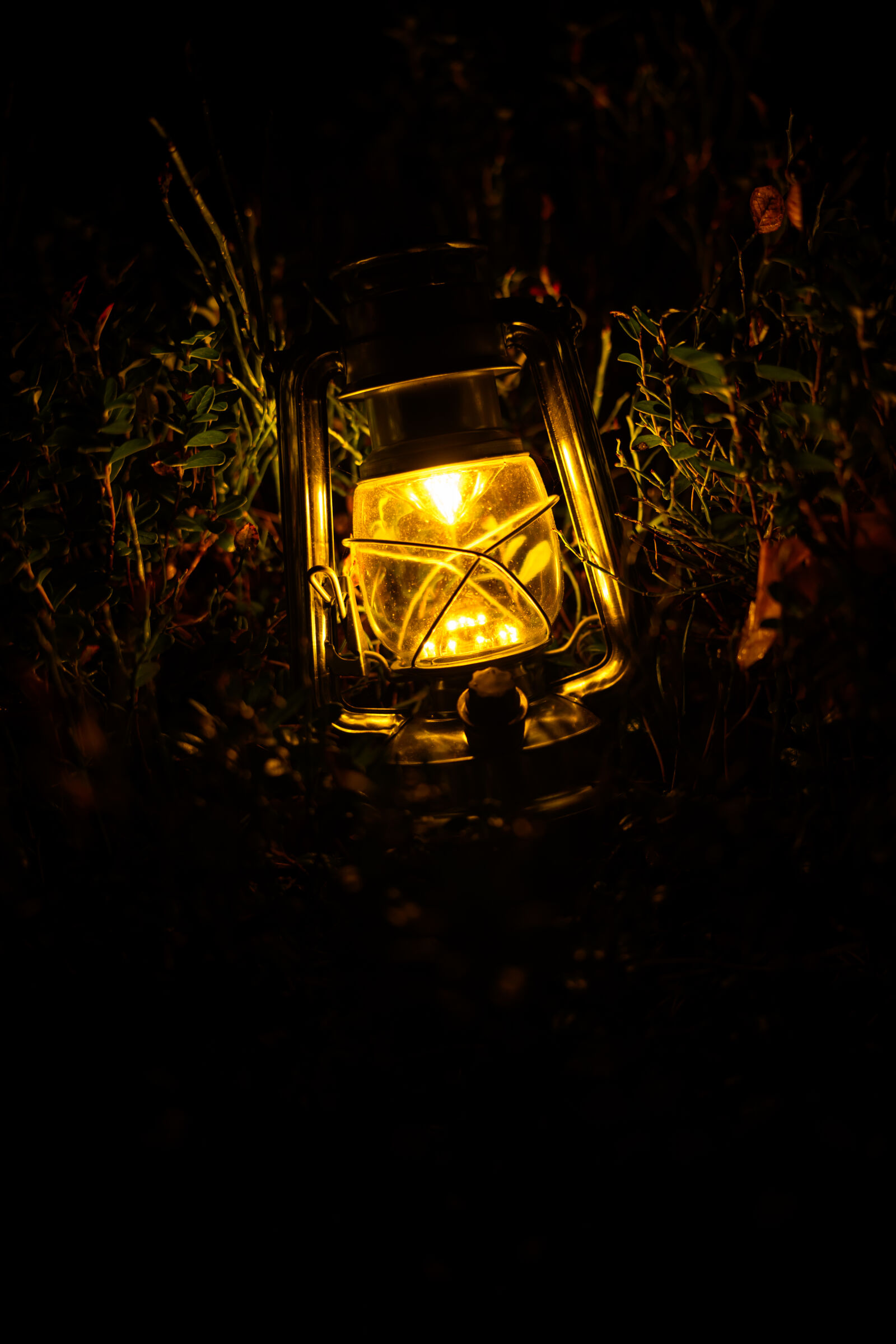 Tamron 35-150mm F2-2.8 Di III VXD sample photo. Lantern of the night photography