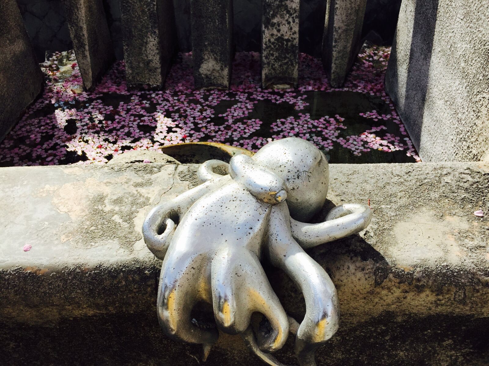 Apple iPhone 6 sample photo. Octopus, statue, atami photography