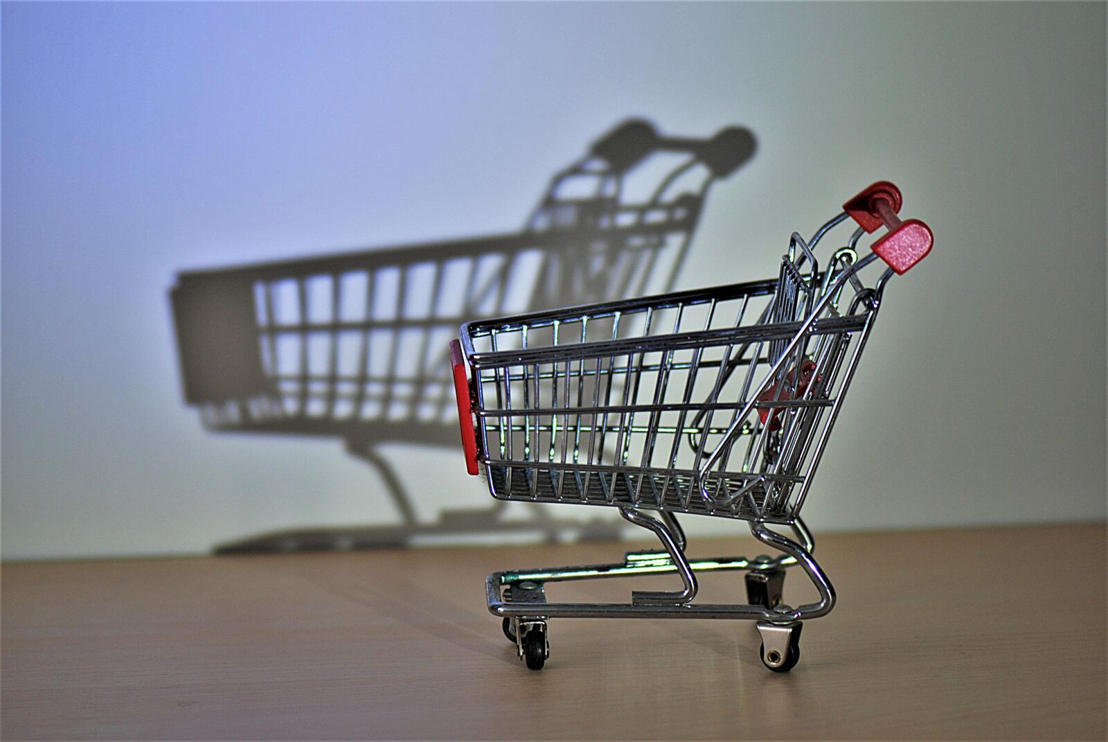 Nikon D80 sample photo. Shopping cart, hispanic, close photography