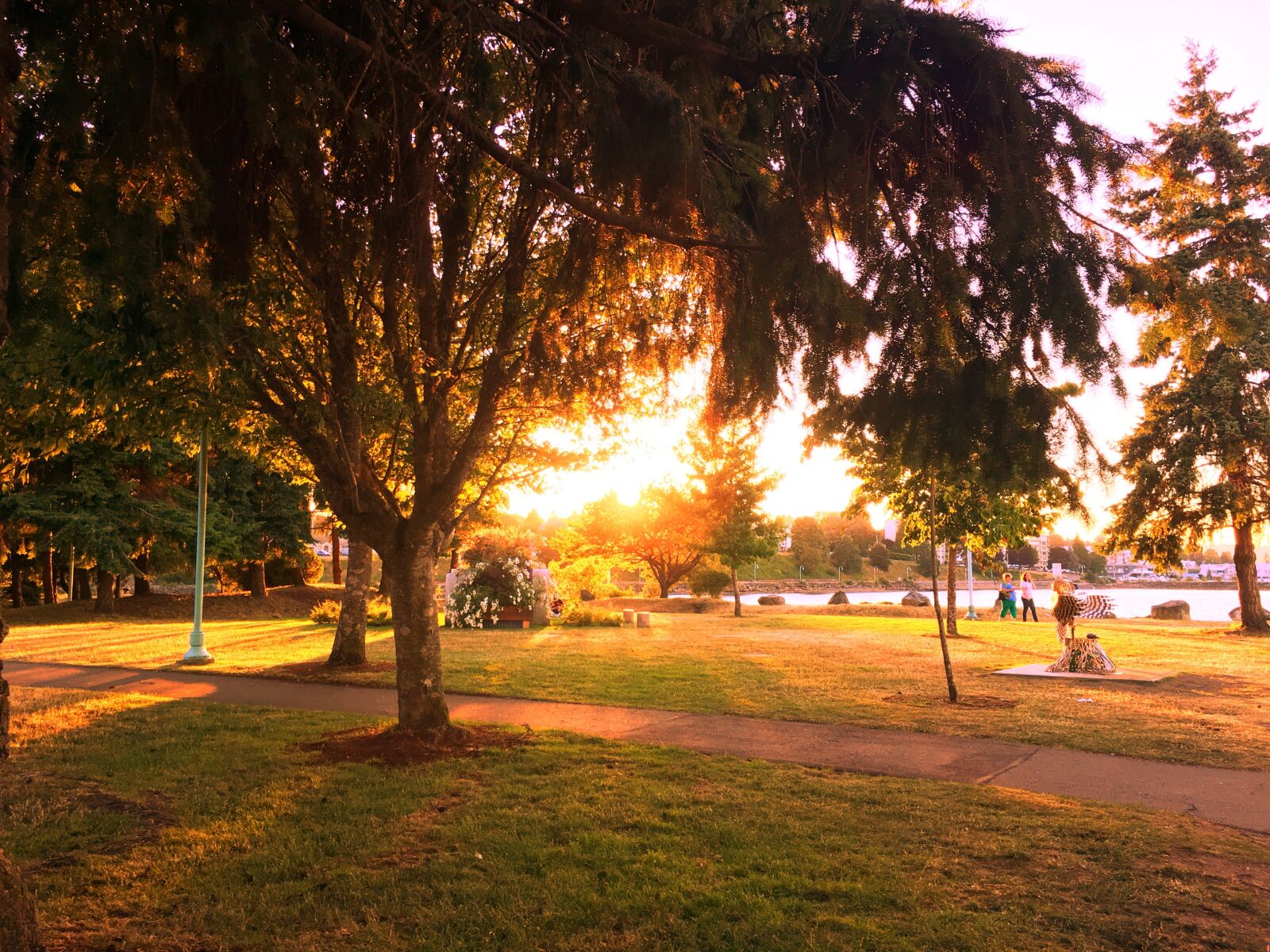 Apple iPhone 6s sample photo. Park, sunset, walk photography