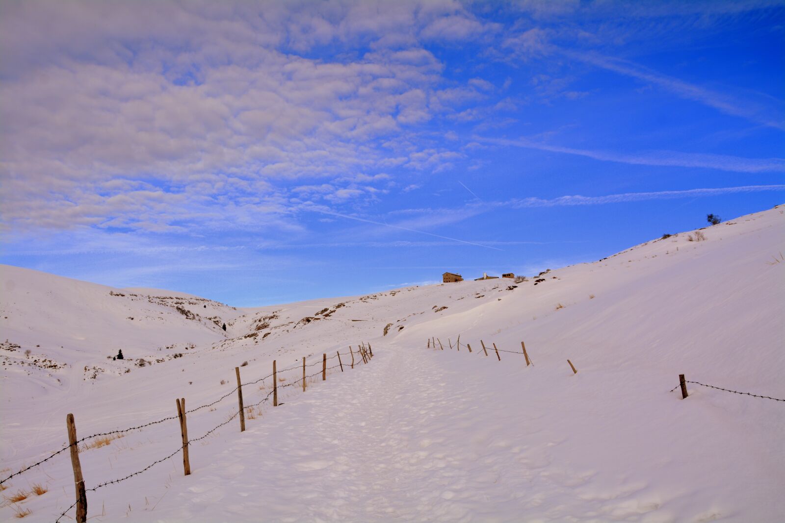 Nikon D7100 sample photo. Winter, snow, outdoors photography