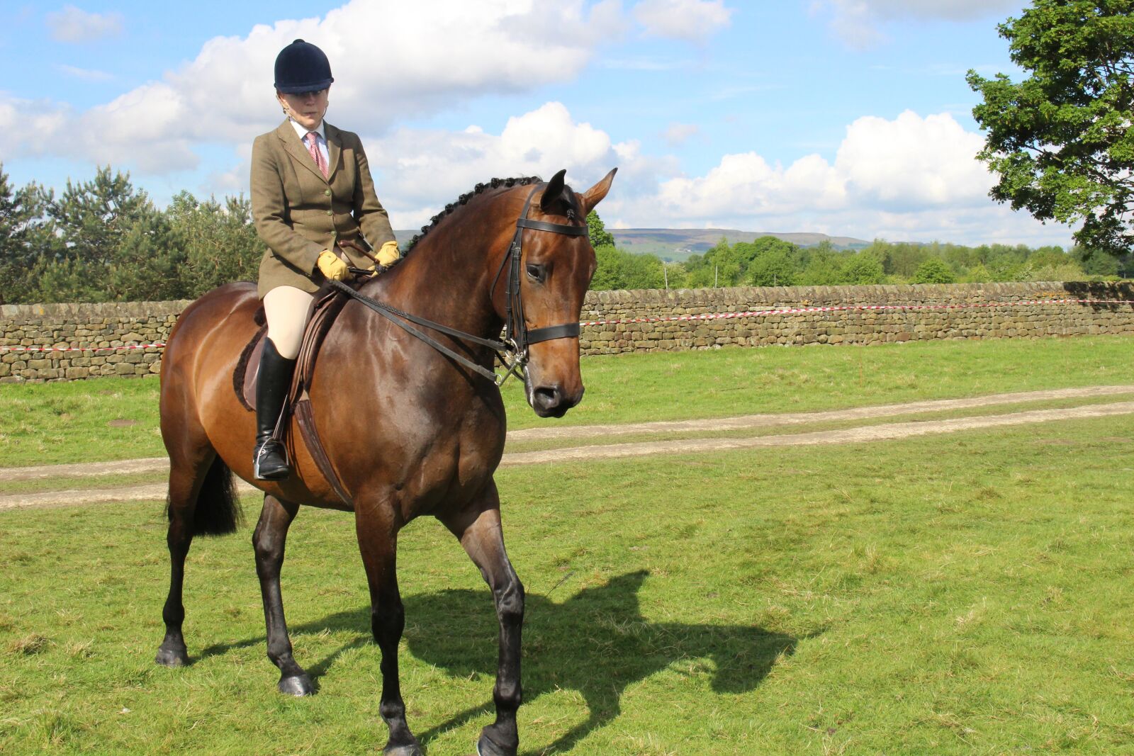 Canon EOS 100D (EOS Rebel SL1 / EOS Kiss X7) sample photo. Horse, otley, show photography
