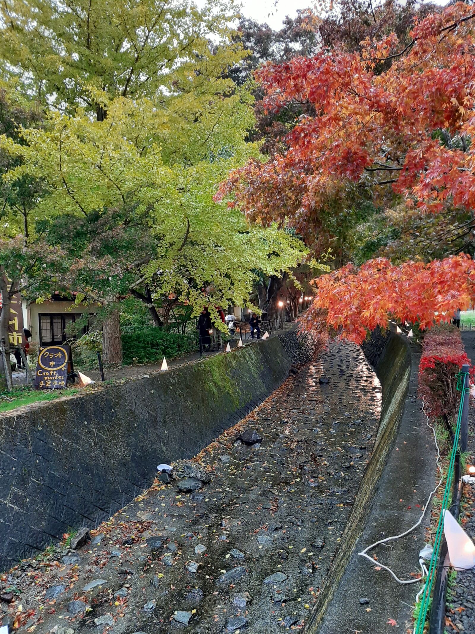 Samsung Galaxy A50 sample photo. Kawaguchiko, japan, drive photography