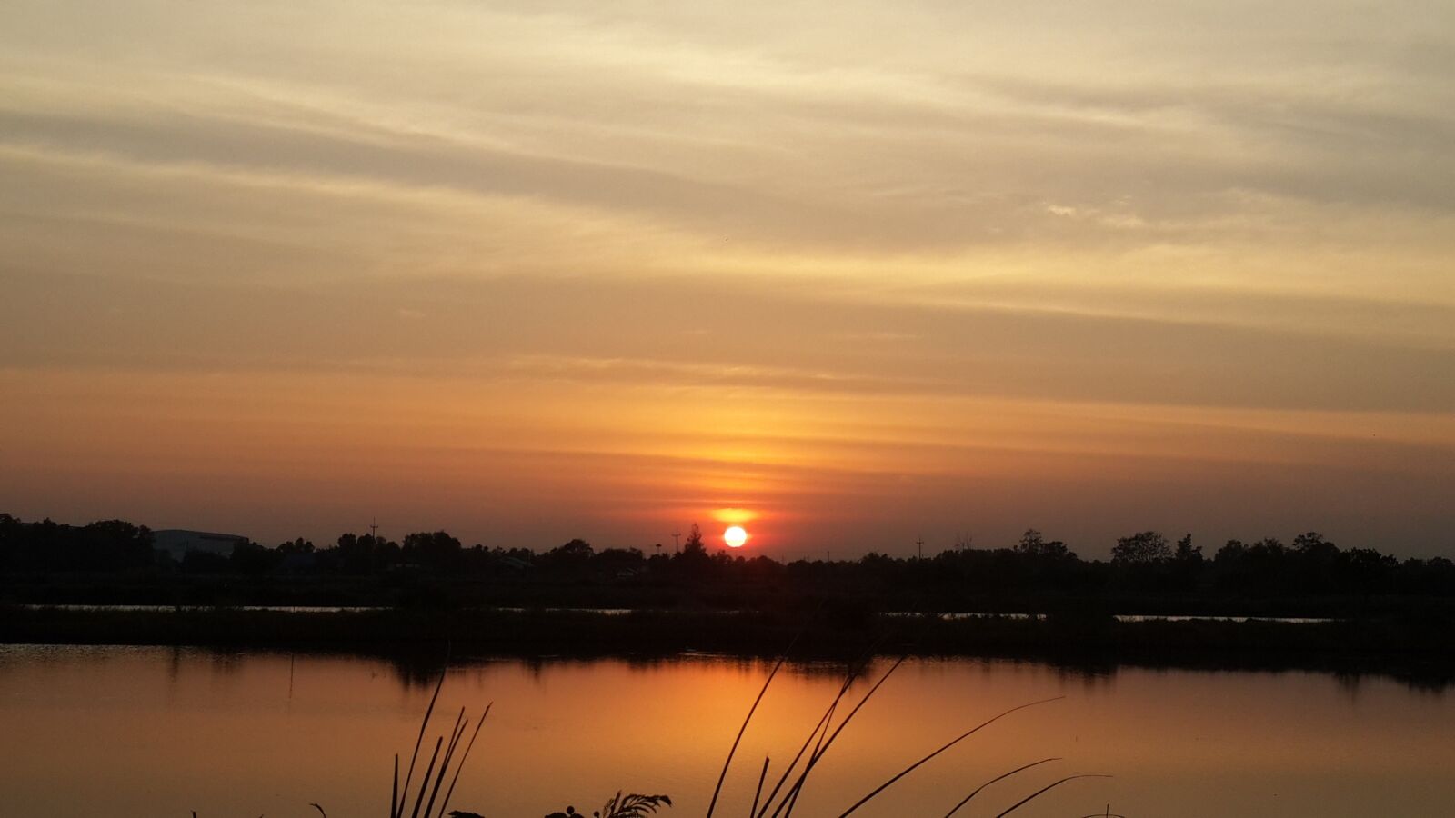 Samsung Galaxy S4 sample photo. Green view, evening, sunset photography