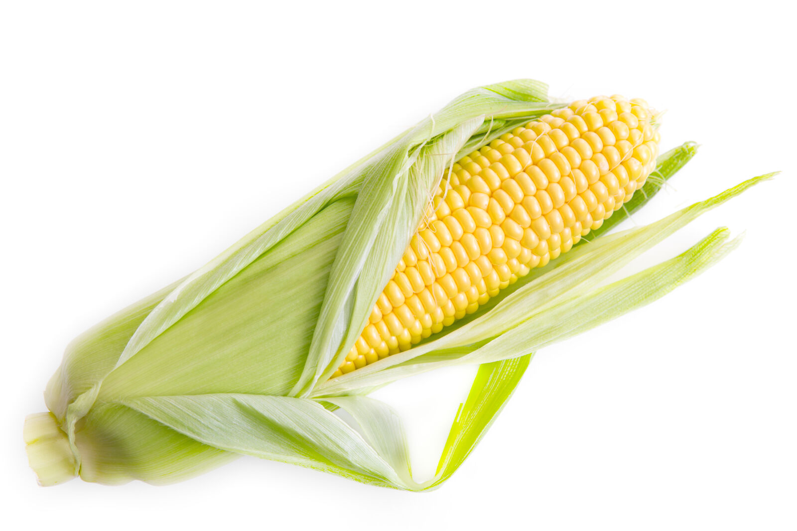30mm F1.4 DC DN | Contemporary 016 sample photo. Agriculture, bright, cereal, close photography