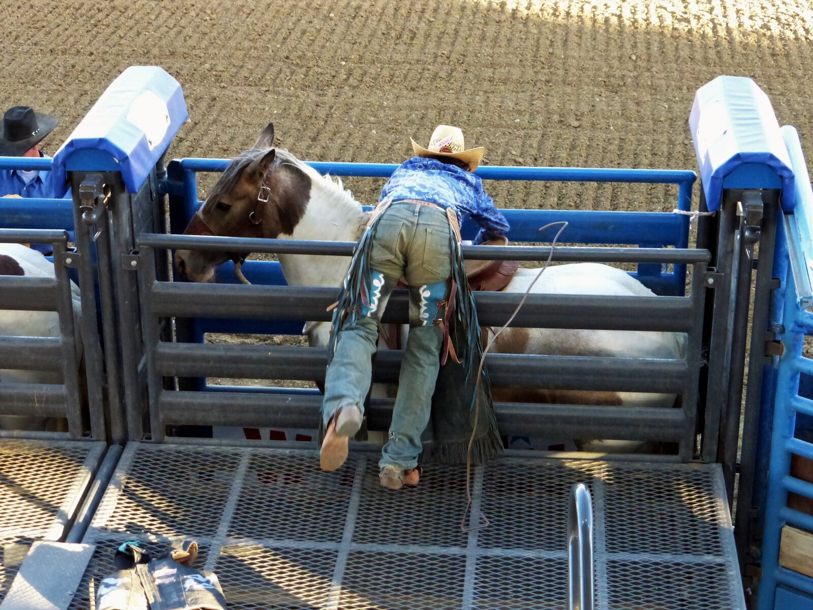 Panasonic Lumix DMC-ZS25 (Lumix DMC-TZ35) sample photo. America, cody, rodeo photography