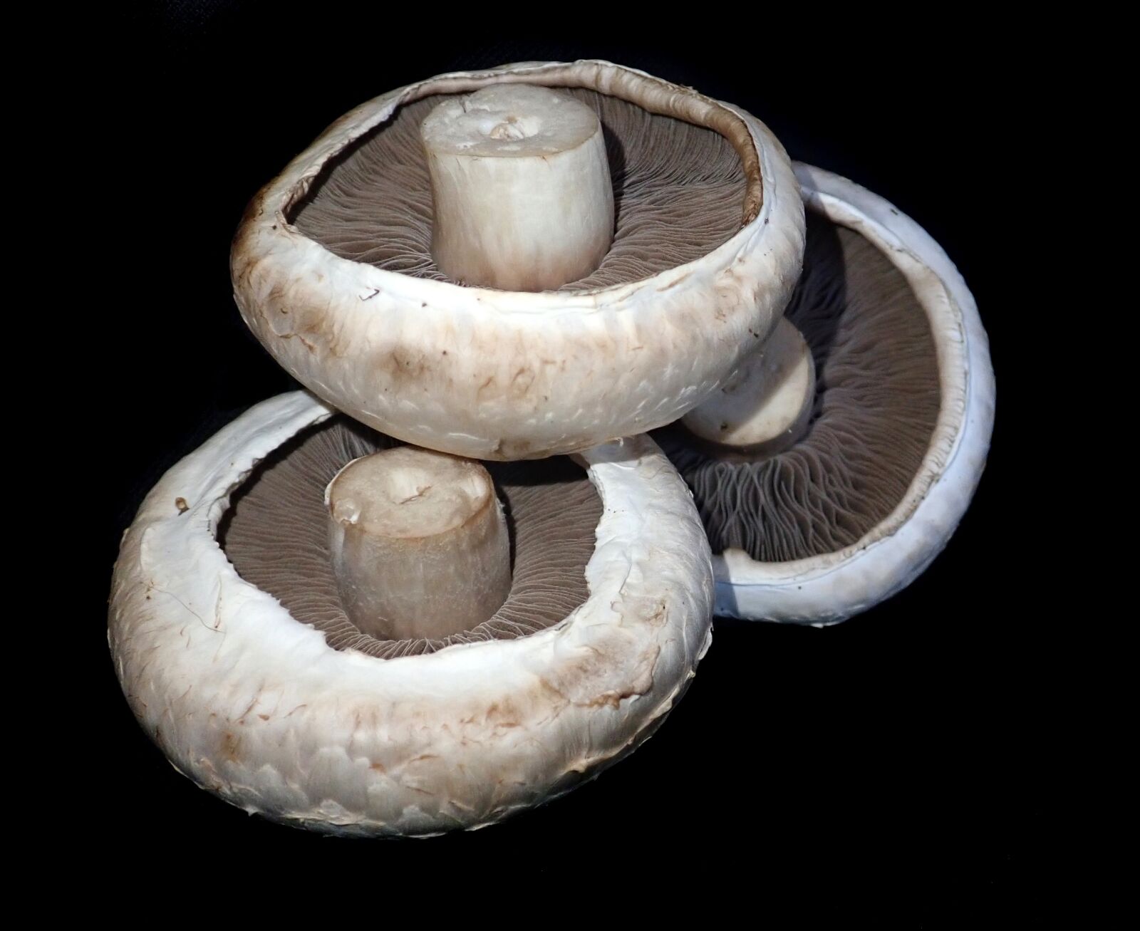 Olympus TG-5 sample photo. Mushrooms, vegetables, food photography