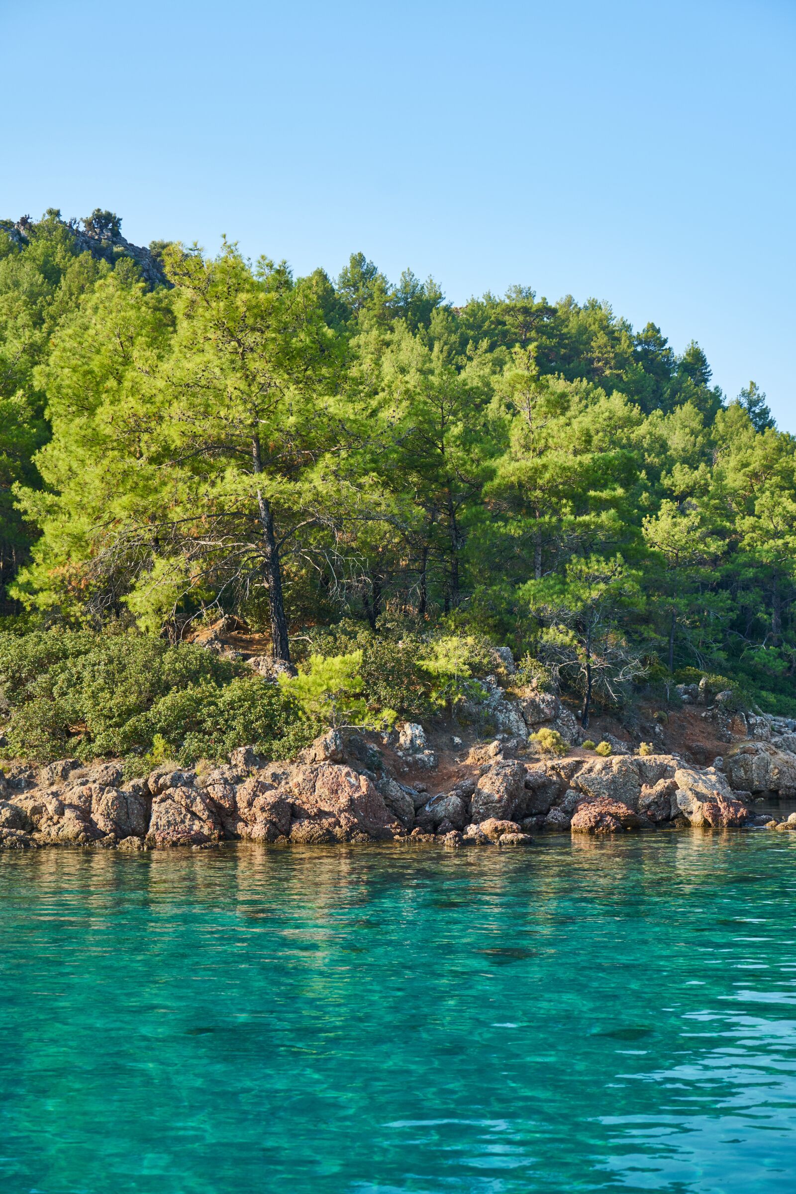 Sony a7R II sample photo. Nature, marine, landscape photography