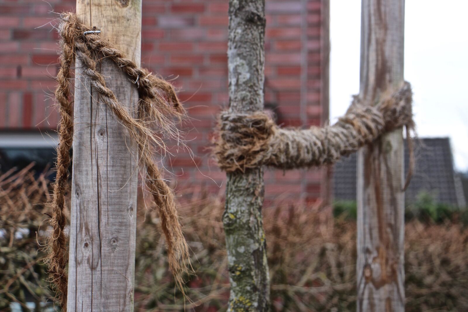Canon EOS 700D (EOS Rebel T5i / EOS Kiss X7i) sample photo. Broken, torn, cord photography