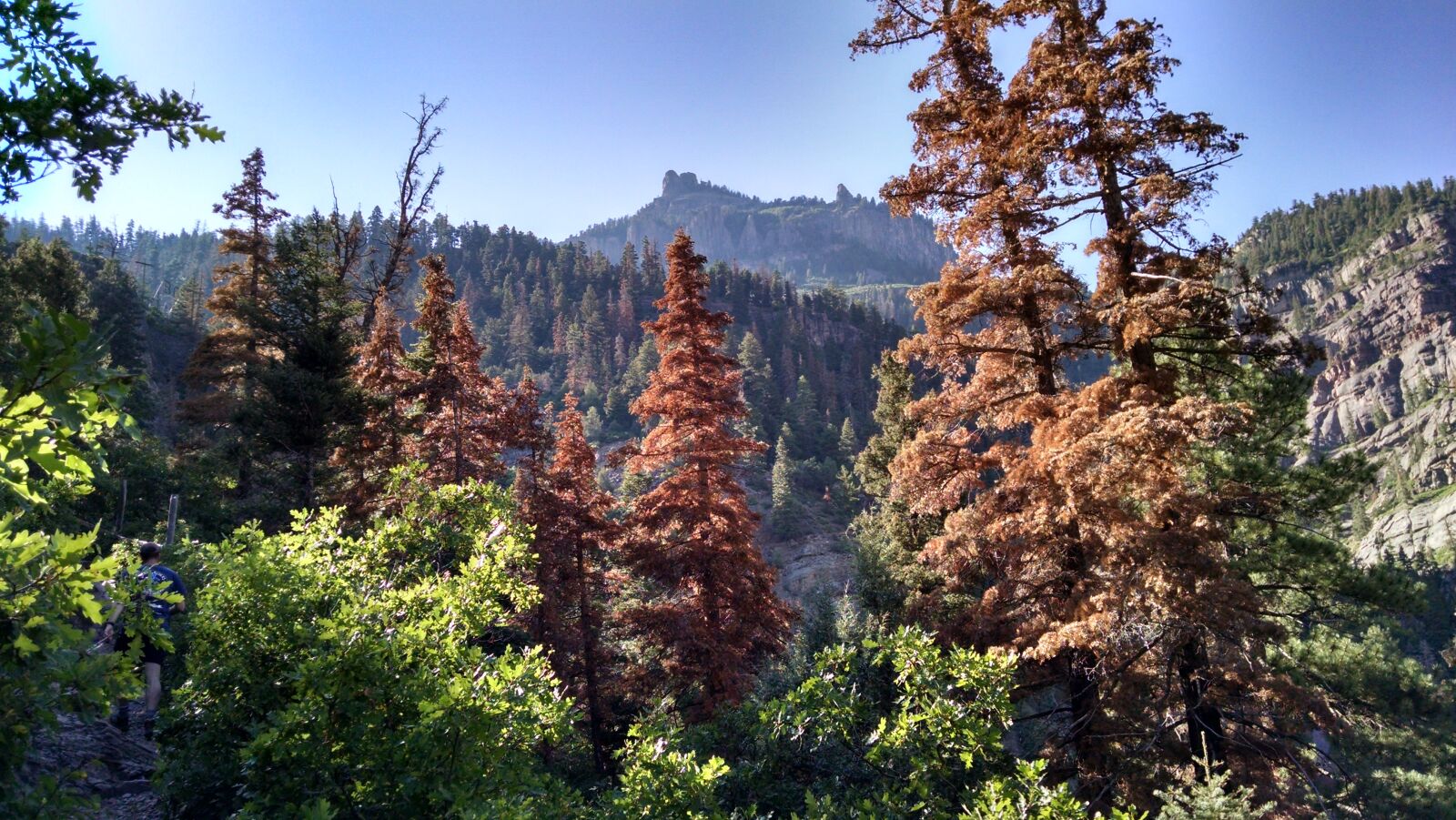 Motorola XT1080 sample photo. Dead, mountains, trees photography