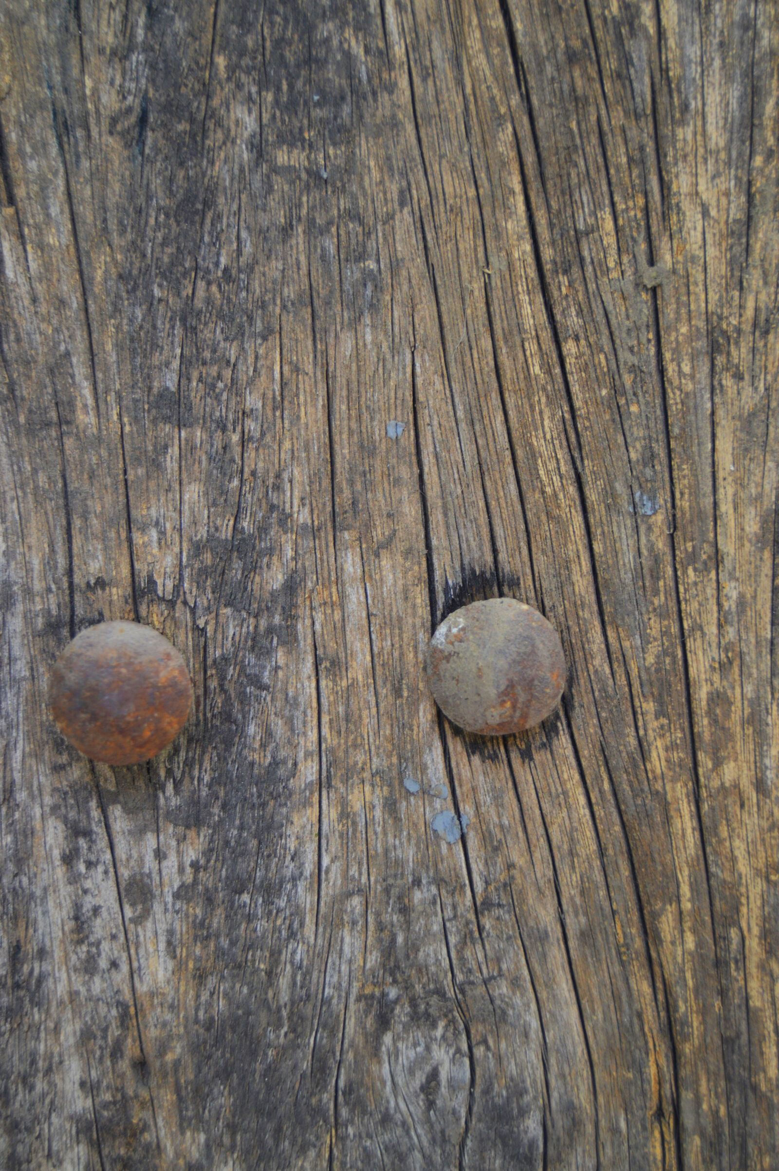 Nikon D3200 sample photo. Background, brown, carpentry, dirty photography