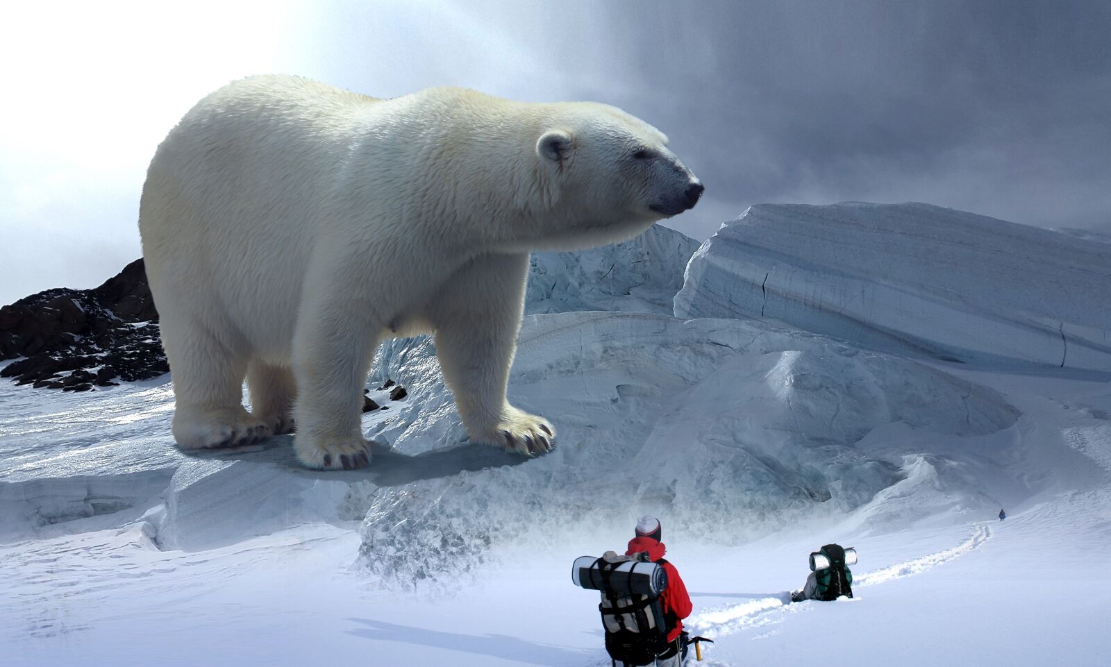 Samsung Galaxy Alpha sample photo. Polar bear, glacier, hike photography