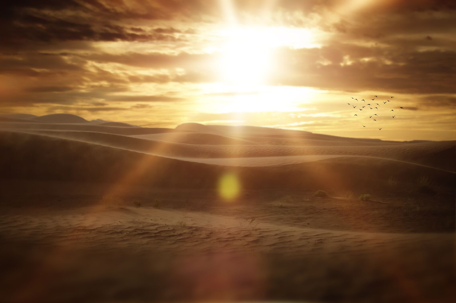 Nikon D3200 sample photo. Landscape, desert, sand photography