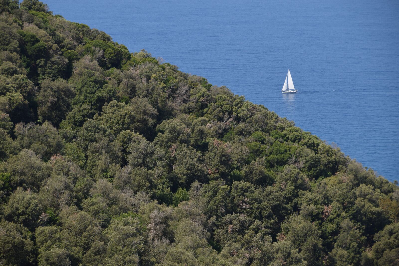 Nikon D5300 sample photo. Italy, tuscany, away populonia photography