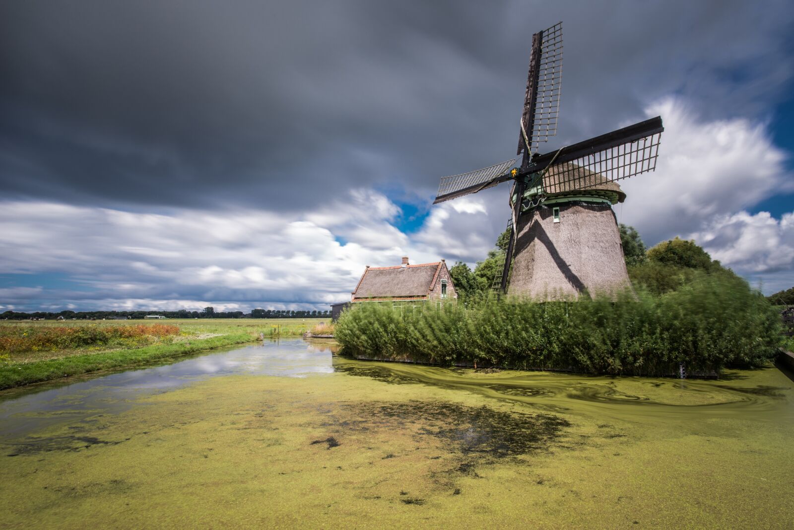 Nikon D600 sample photo. Windmill, pond, clouds photography