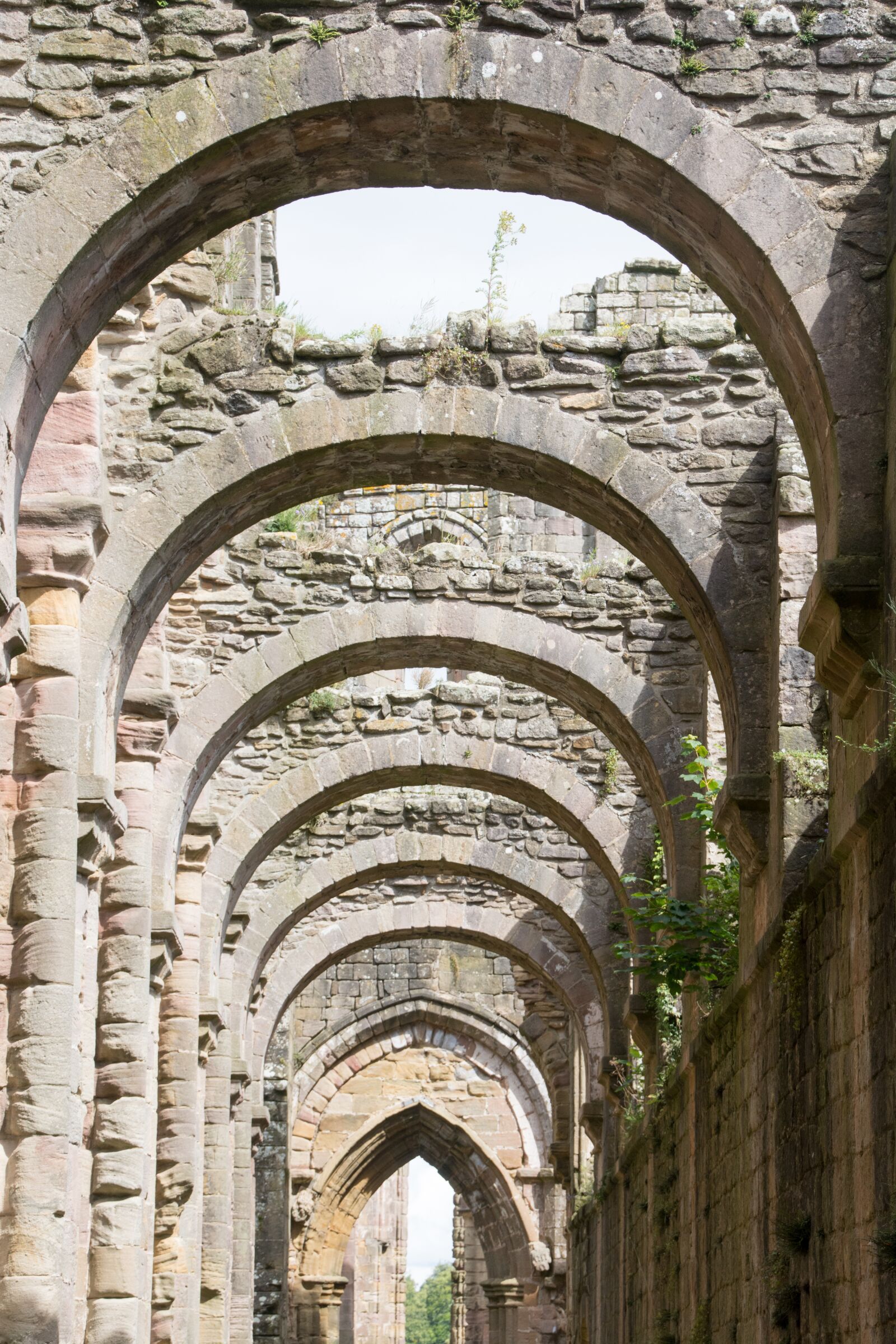 Nikon D7100 sample photo. Fountain abbey, historical, architecture photography