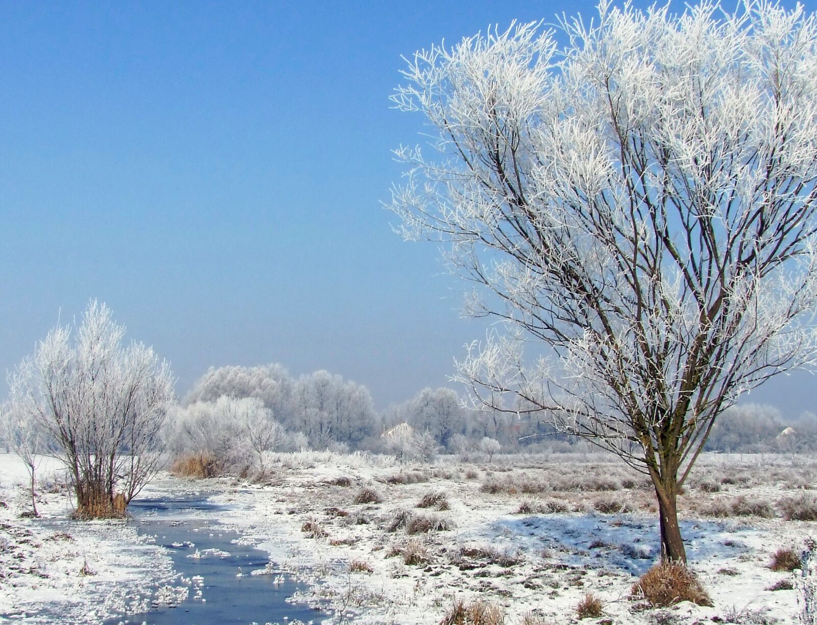 Fujifilm FinePix S100fs sample photo. Winter landscape, snowy, hoary photography