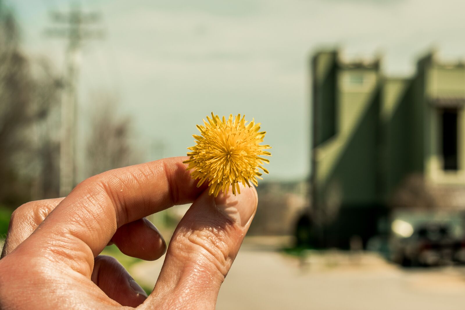 Nikon D5300 sample photo. Outdoors, nature, people photography