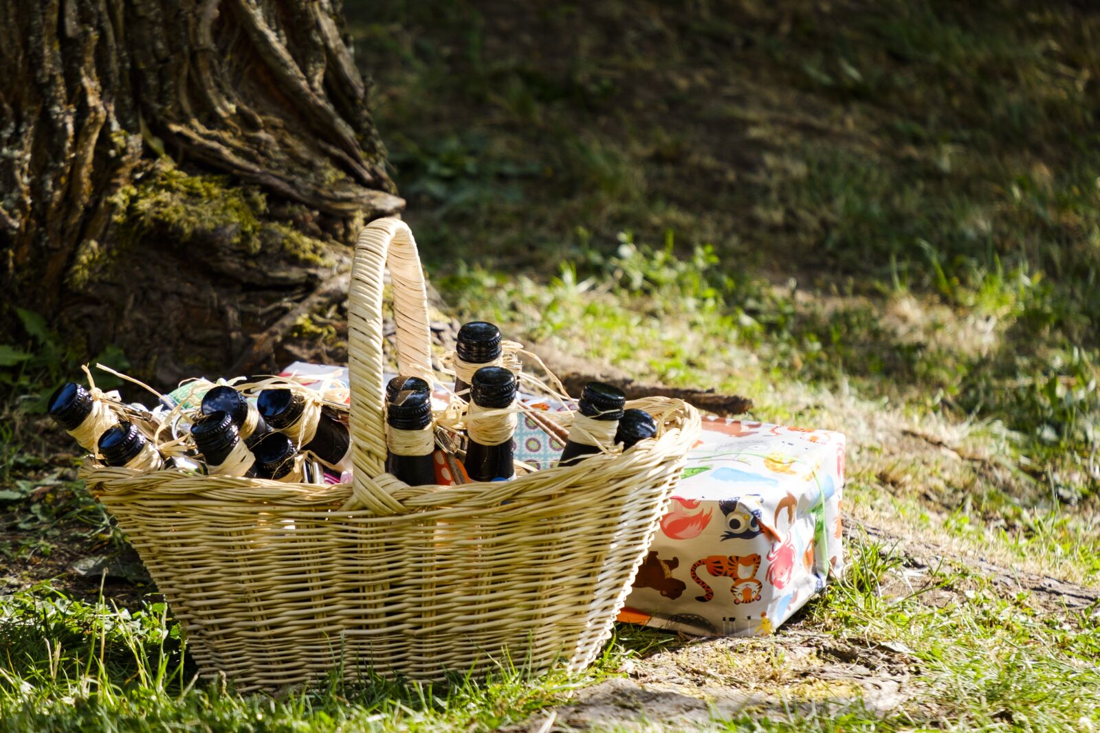 Fujifilm X-T2 + Fujifilm XF 55-200mm F3.5-4.8 R LM OIS sample photo. Bottles, beverages, champagne photography