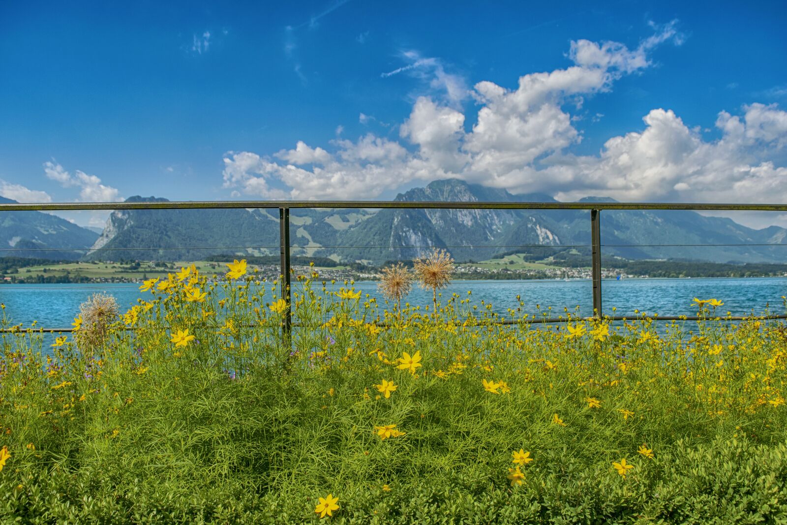 Nikon D3300 sample photo. Lake, flowers, thun photography