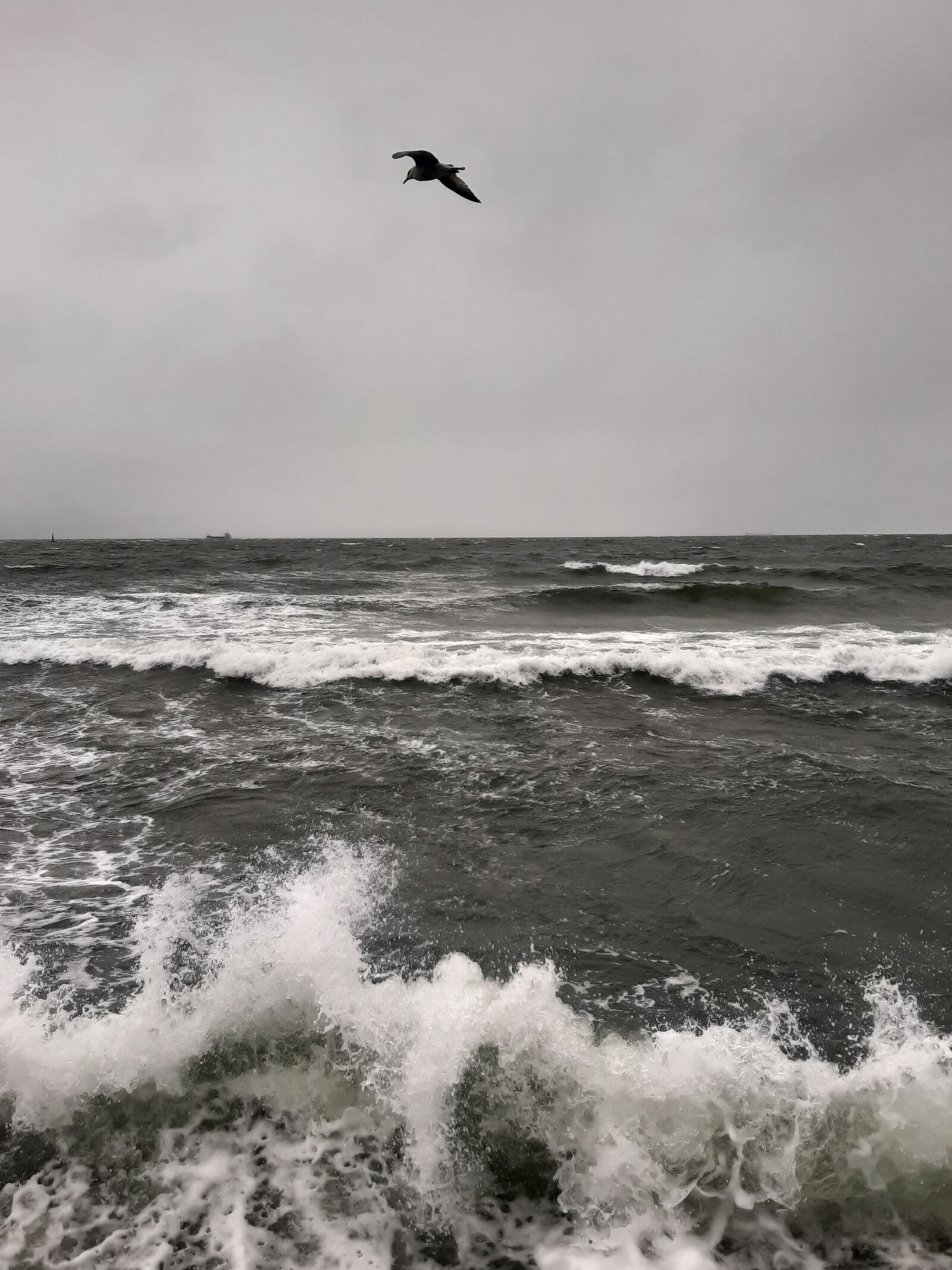 Samsung Galaxy A50 sample photo. Sea, the waves, wind photography