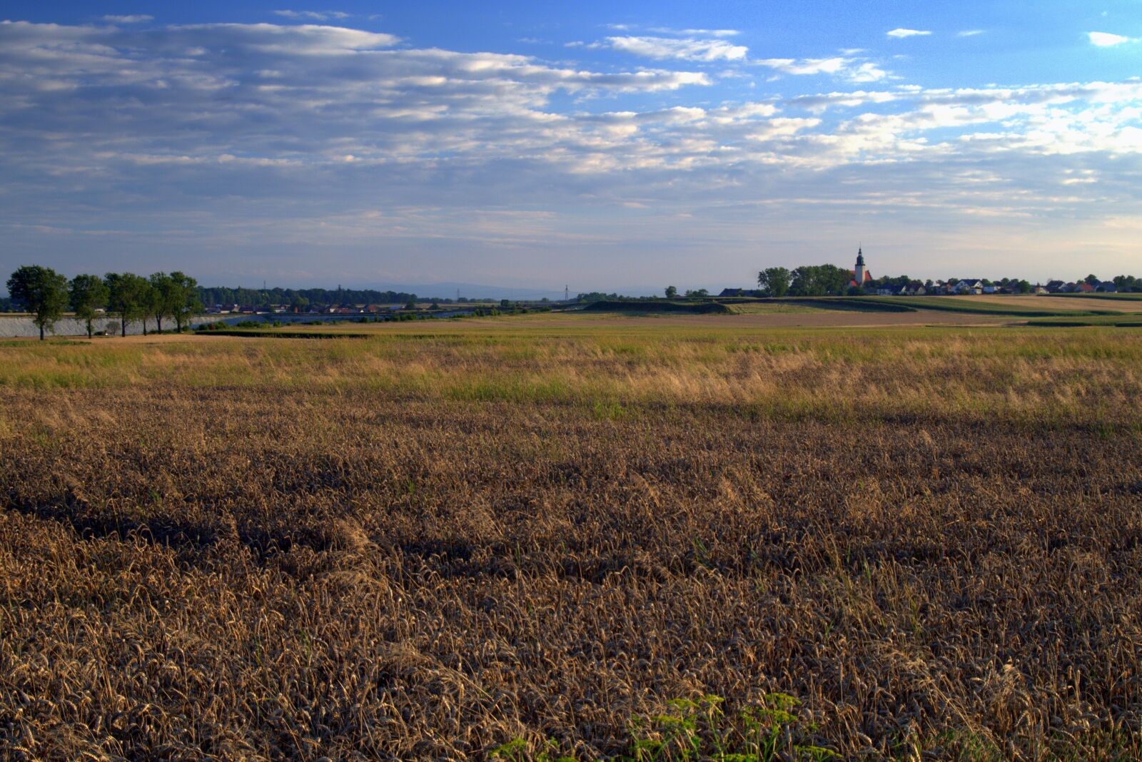 Pentax K-S2 sample photo. Field, fields, corn photography