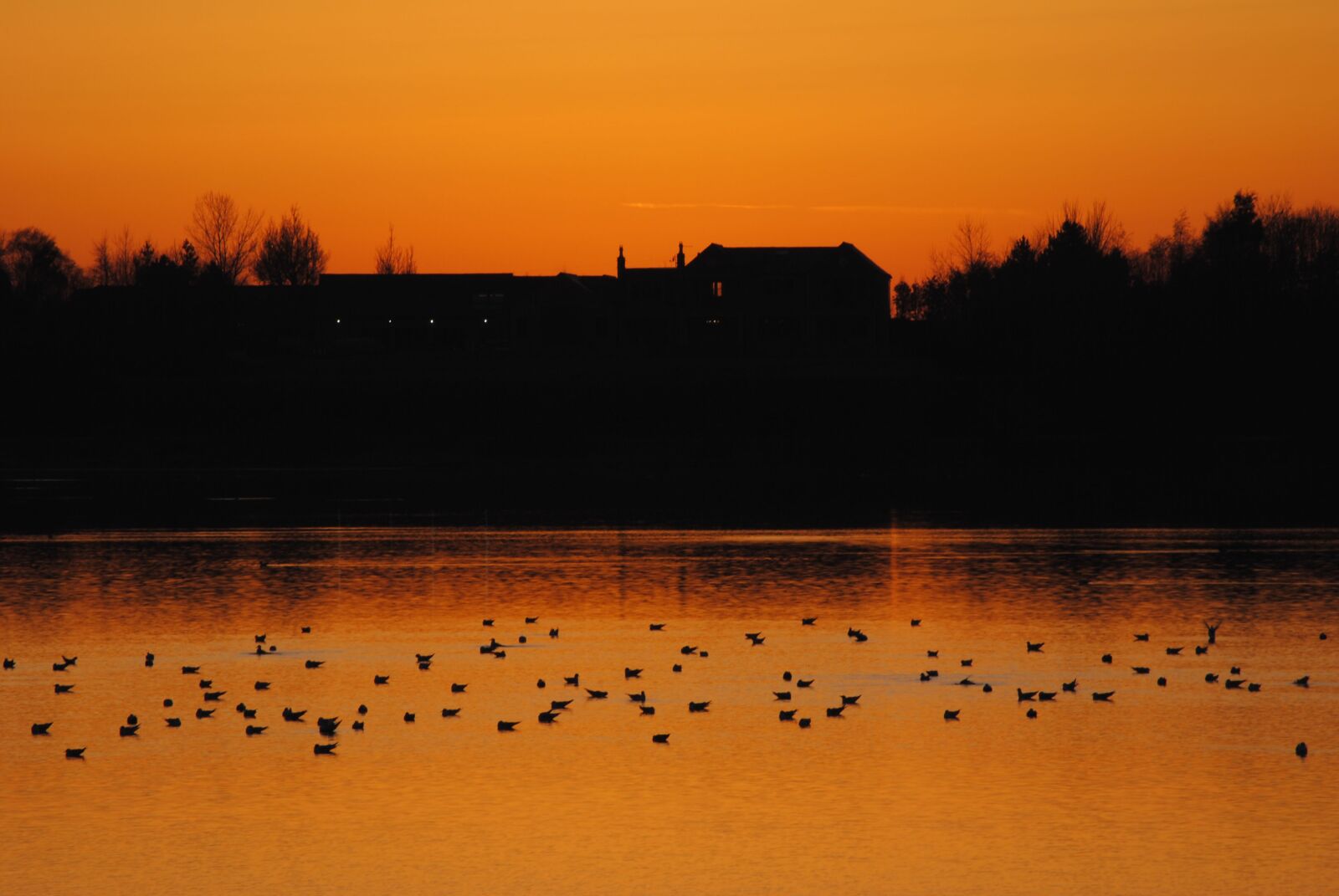 Nikon D3000 sample photo. Dusk, reflection, sunset photography