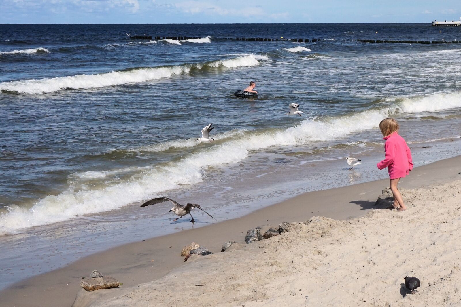Sony a6000 sample photo. Child, seagull, beach photography