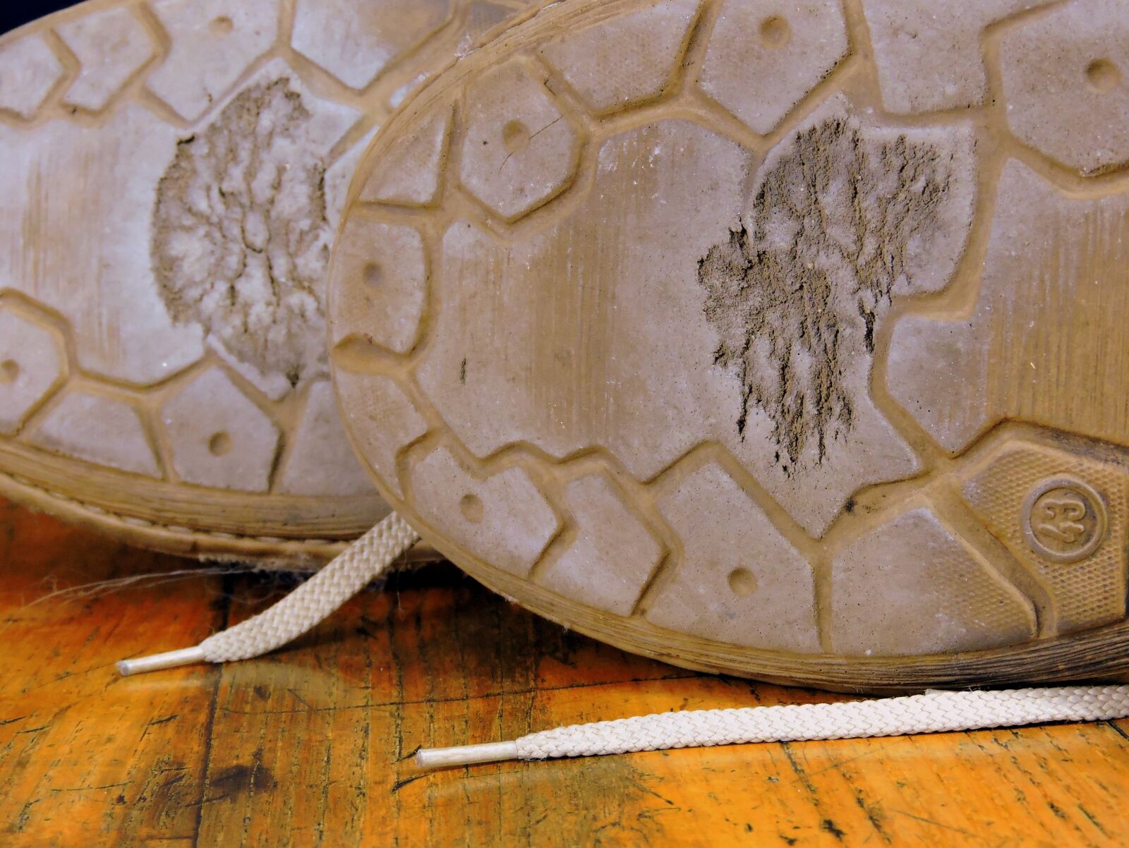 Nikon Coolpix P600 sample photo. Worn, consumed, shoe photography