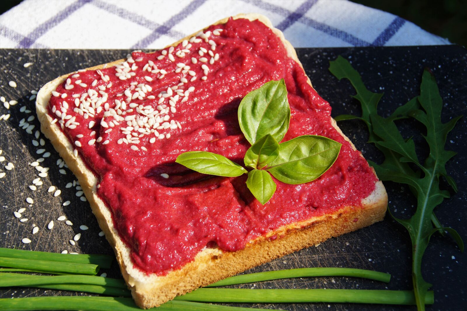 Sony SLT-A58 sample photo. Red beets, toast, brunch photography