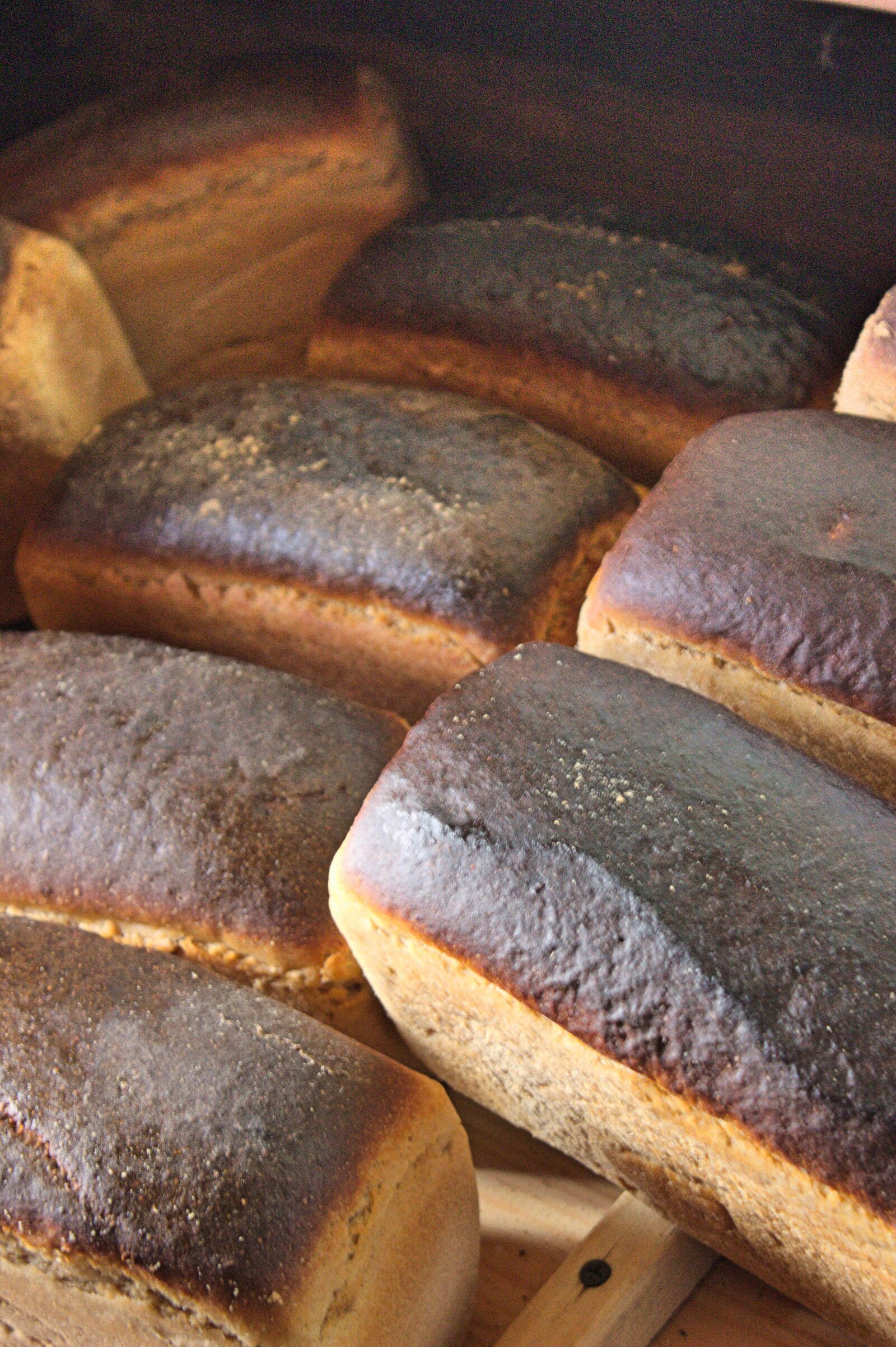 Canon EOS 600D (Rebel EOS T3i / EOS Kiss X5) sample photo. Bread, food, yeast photography