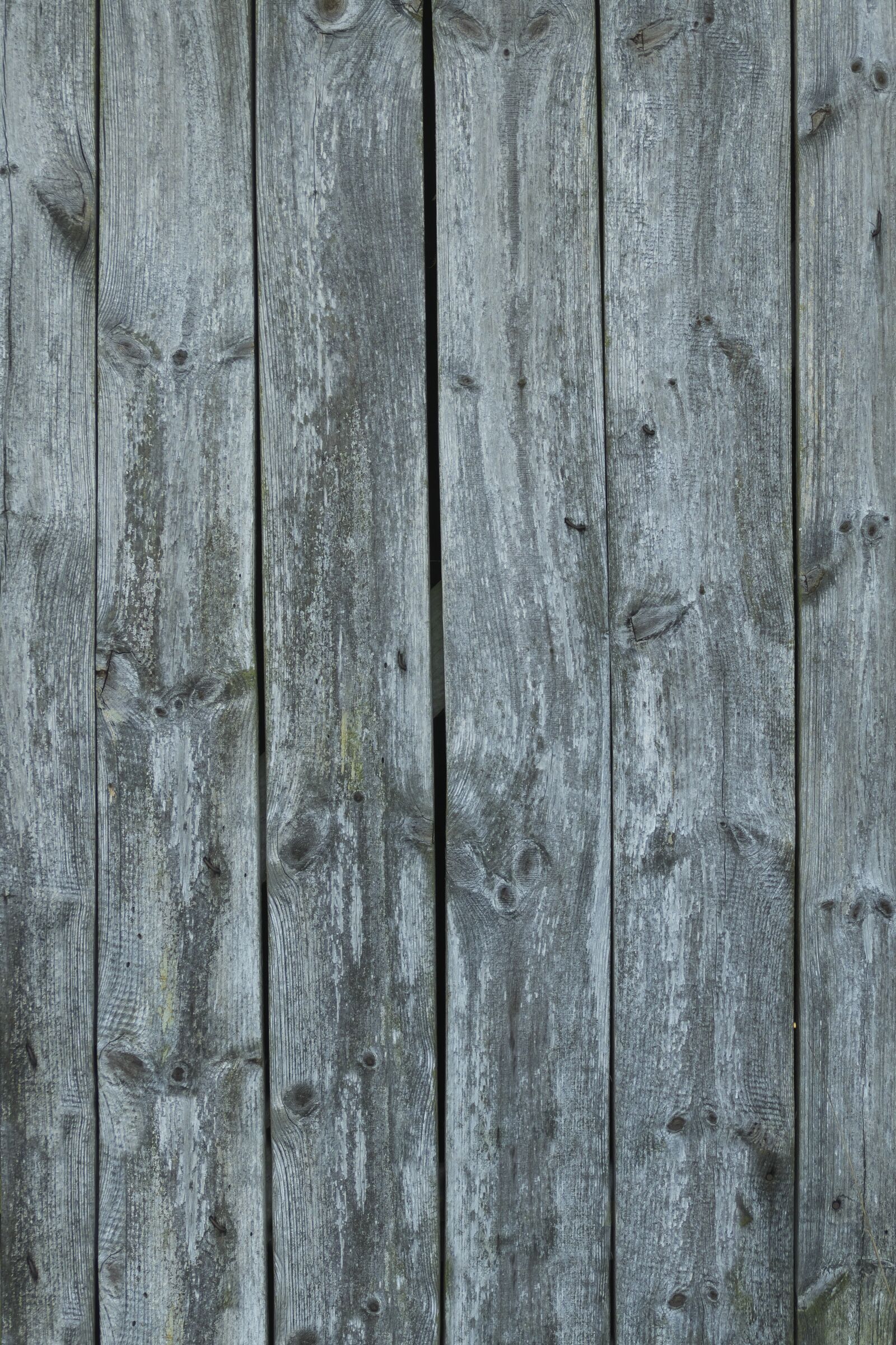 Panasonic Lumix DMC-FZ1000 sample photo. Wooden boards, boards, wooden photography