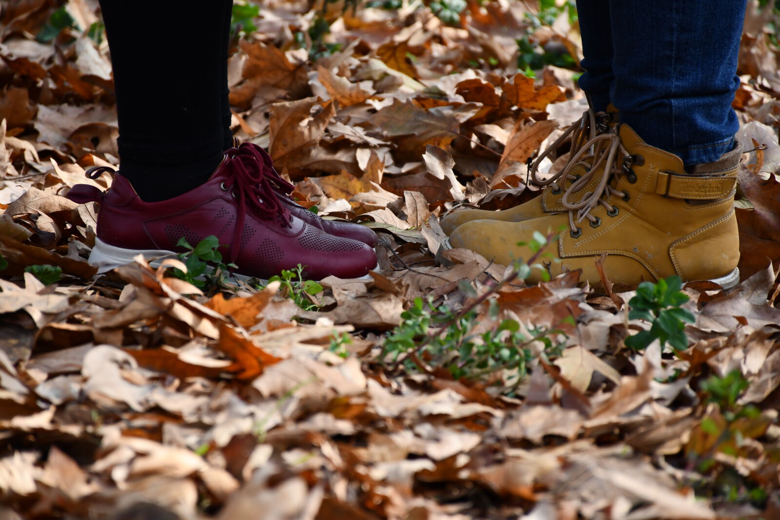 Nikon D7500 sample photo