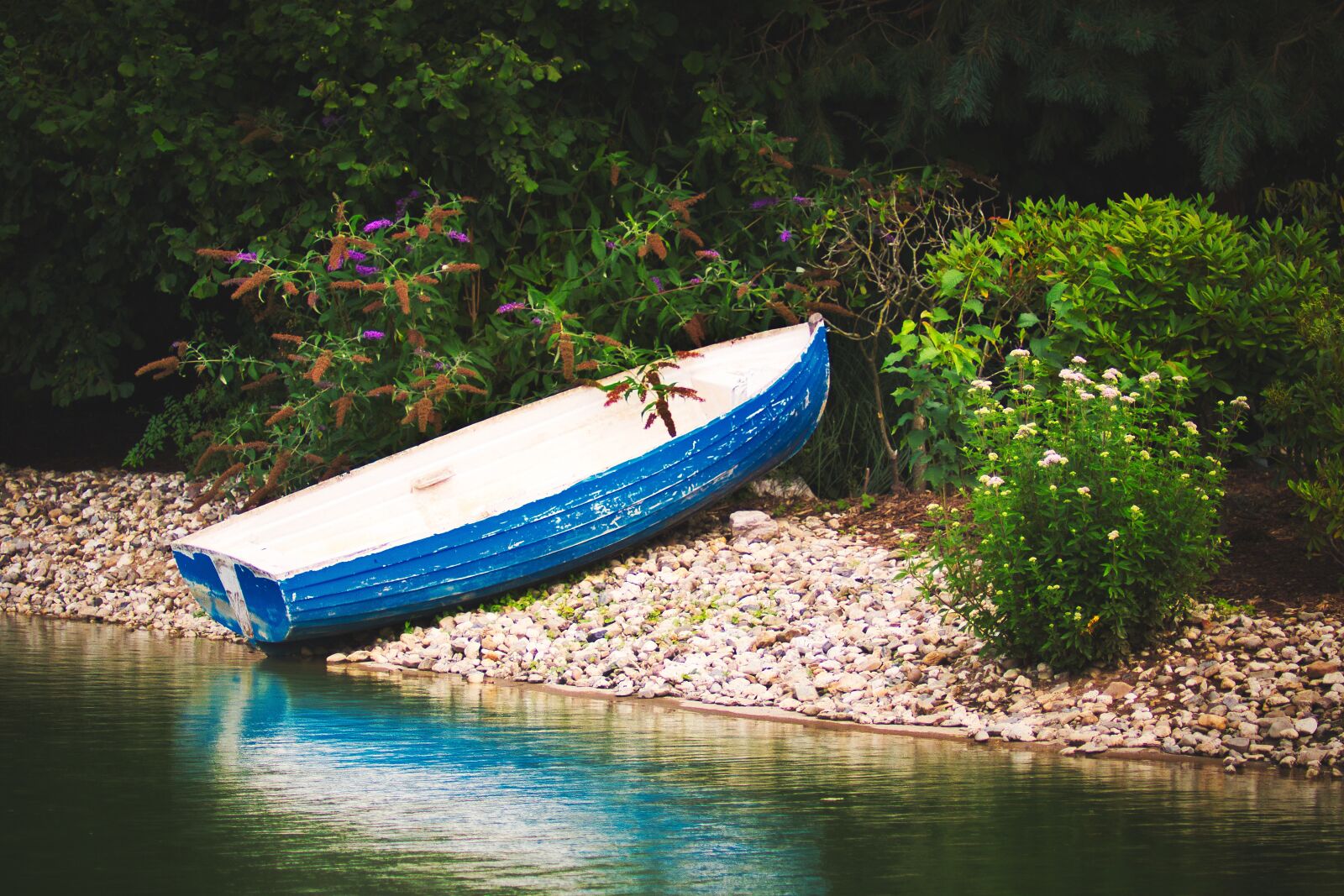 Canon EOS 80D sample photo. Boat, lake, nature photography