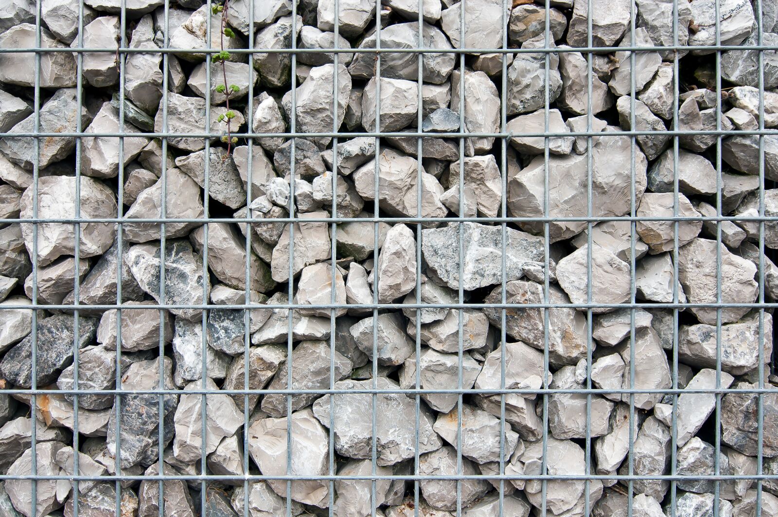 Nikon D90 sample photo. Stones, behind bars, grid photography