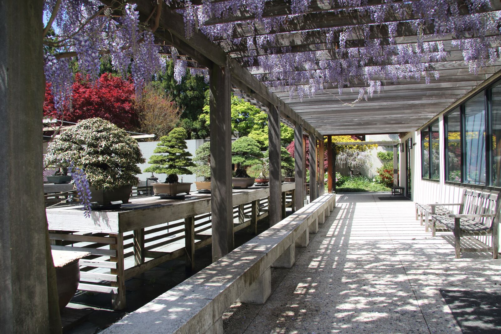 Canon EF-S 17-85mm F4-5.6 IS USM sample photo. Park, summer, plants photography