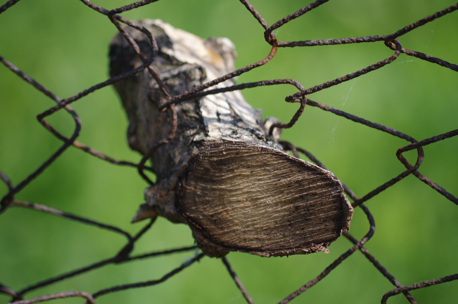 Pentax K-500 sample photo. Wood, fence, jammed photography