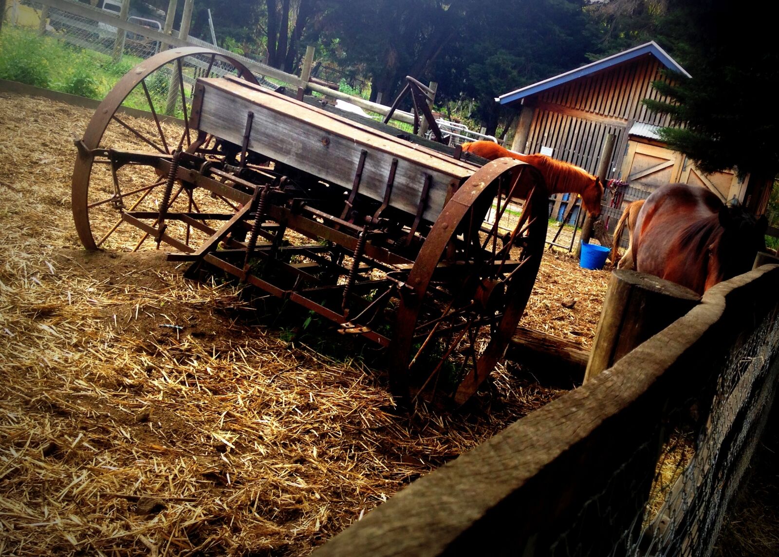iPhone 5c back camera 4.12mm f/2.4 sample photo. Cart, farm, metal, old photography